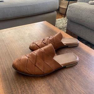 Seychelles survival mule